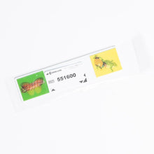 Load image into Gallery viewer, LENTICULAR STICKS